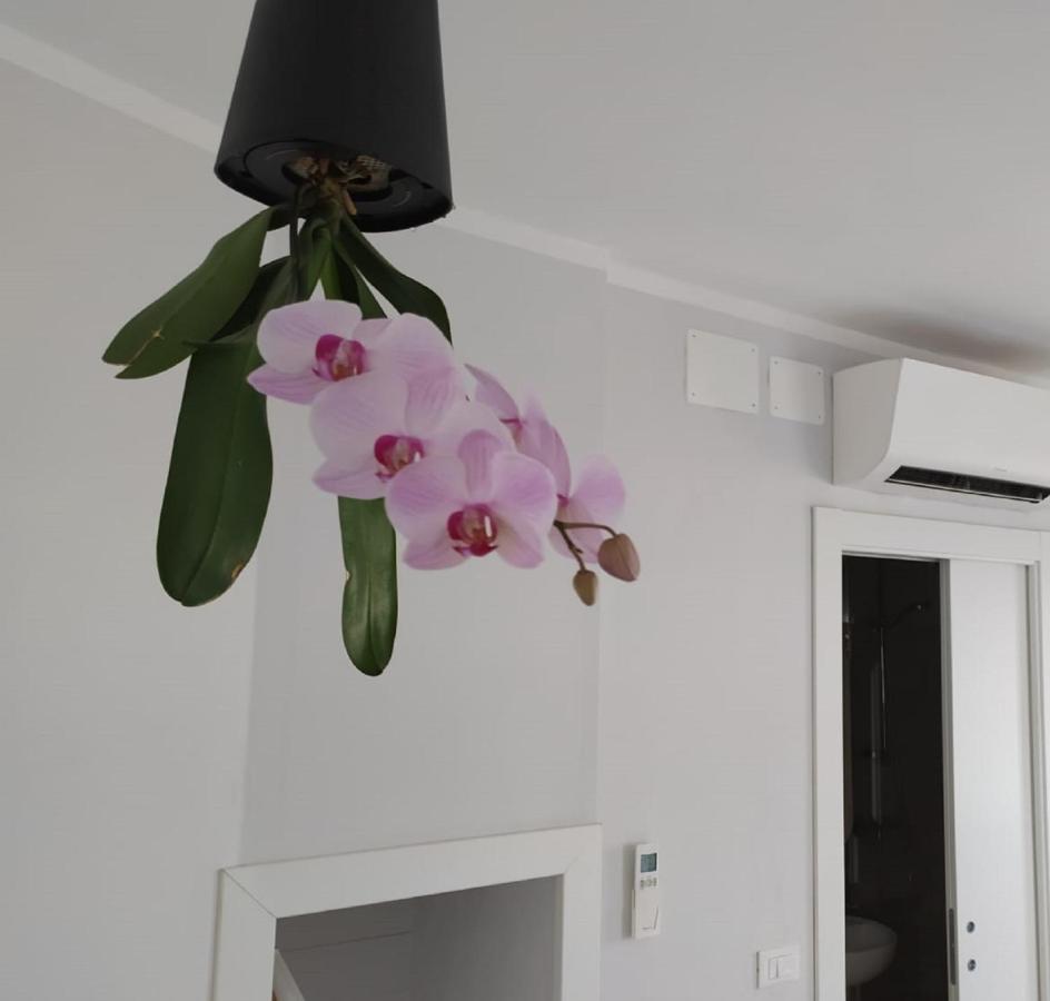 Guest house Aquarium 2*